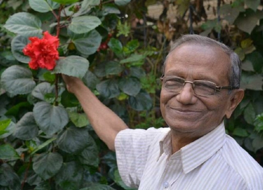 Late Mr. A K Haldar's with glasses, touching a red hibiscus flower in a lush garden, at Khelaghar Baganbari.